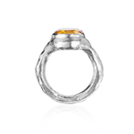 TEMEYA silver 2