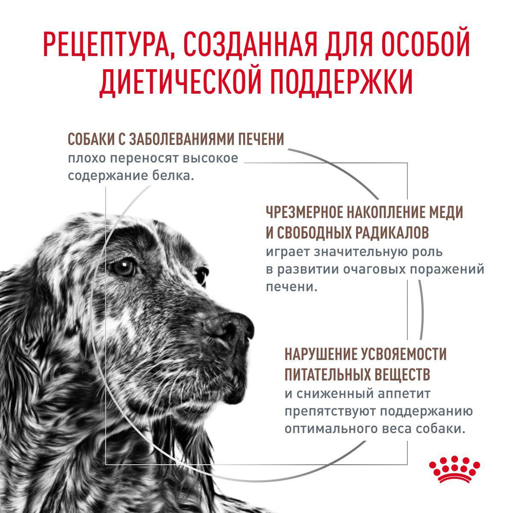 Royal Canin Hepatic HF 16 Canine Корм сухой диетический для собак 1,5 кг