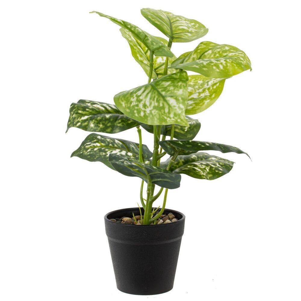 GAEM Цветочная композиция, L25 W25 H30 см, 5в.