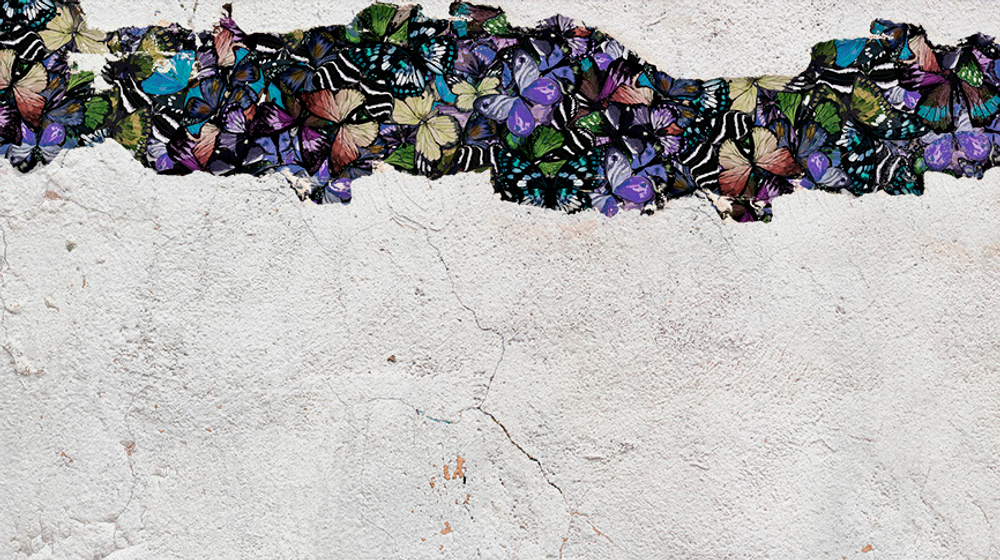 Коллекция WONDERLAND