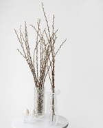 Веточки вербы