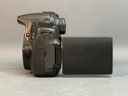 Canon EOS 60D 113.000 кадров