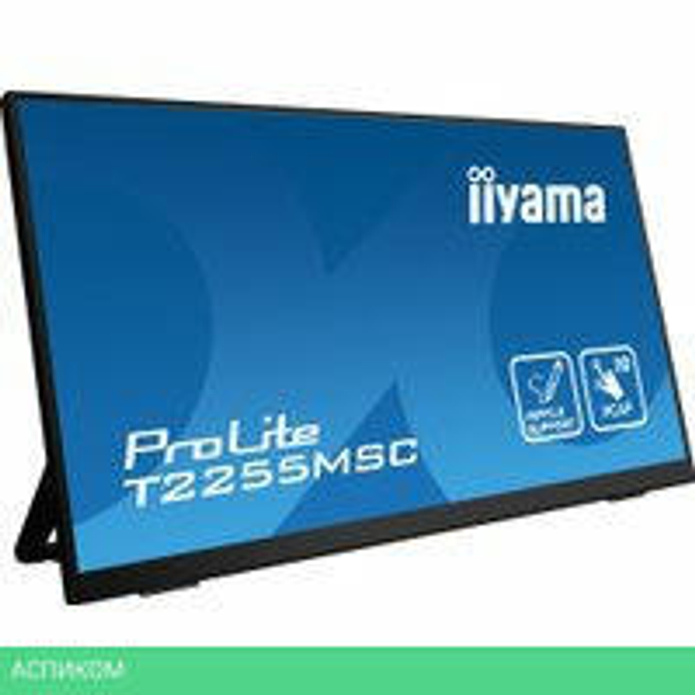 Портативный монитор Iiyama ProLite T2255MSC-B1