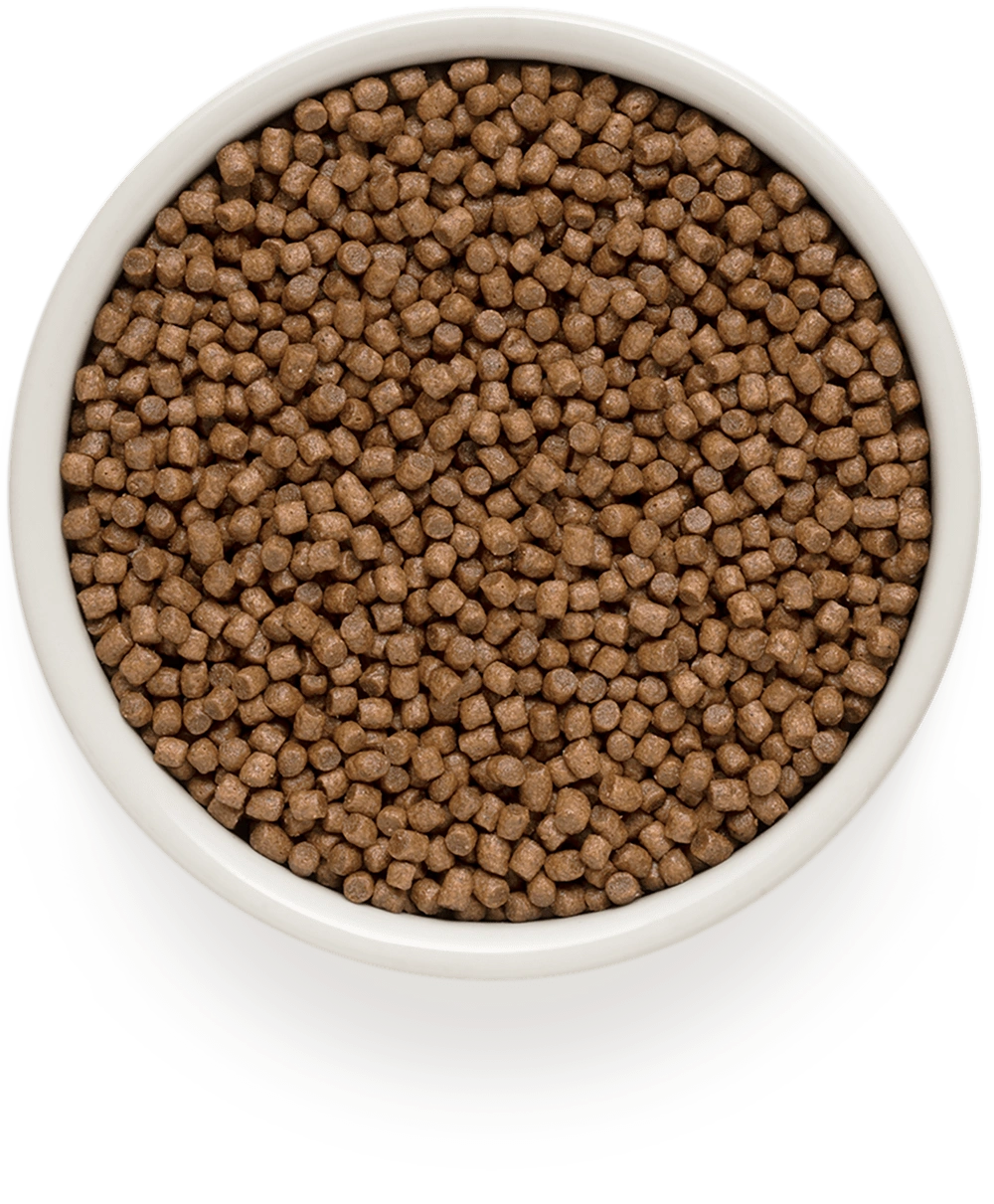 GRANDORF Ягнёнок с индейкой Для котят