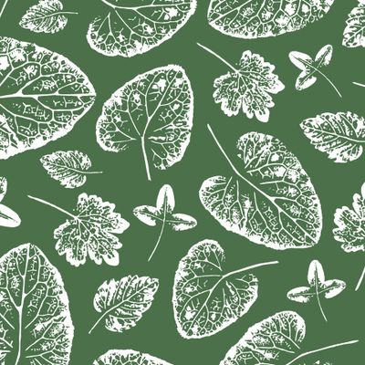 Белые отпечатки листьев на зеленом фоне