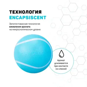 Жевательный мяч Playology SQUEAKY CHEW BALL 6 см для собак мелких и средних пород с пищалкой и с ароматом курицы, цвет голубой