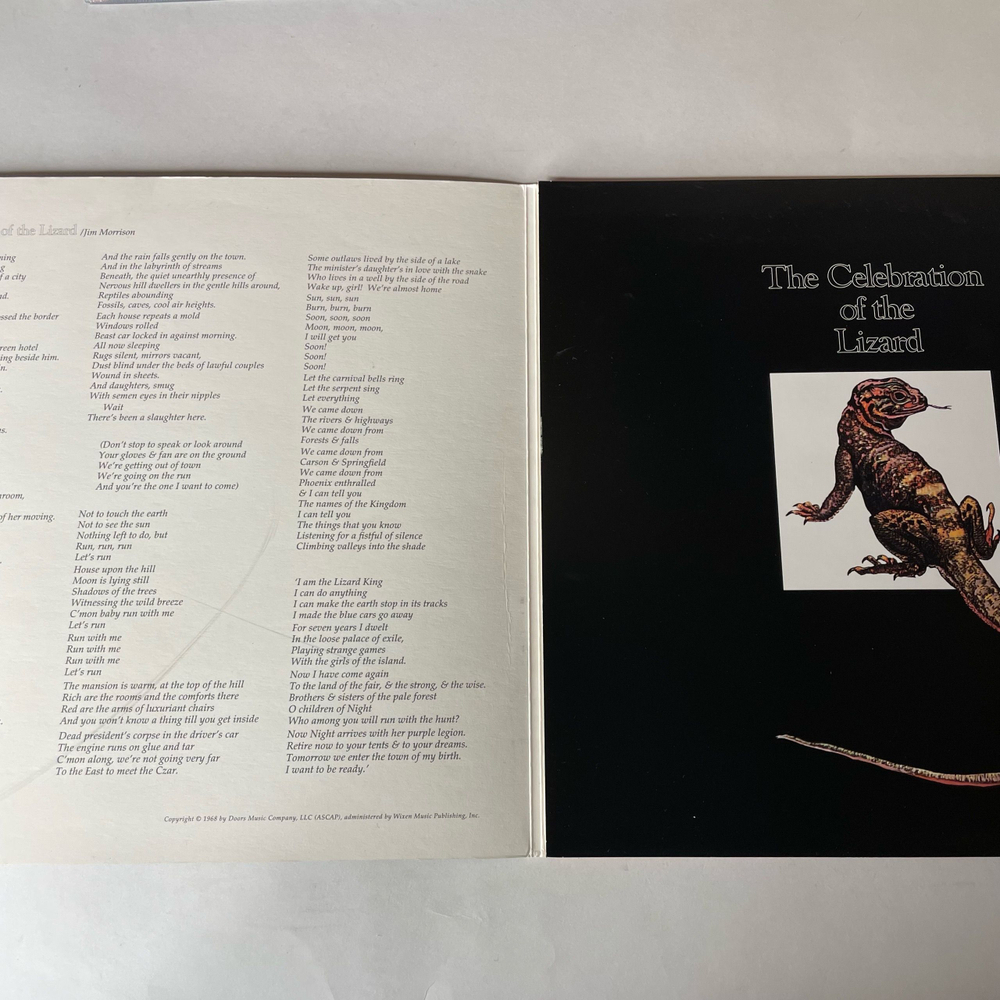 Виниловая пластинка LP The Doors Waiting For The Sun (ЕU 2018)