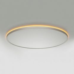 Накладной светильник Citilux NORMA CL749600