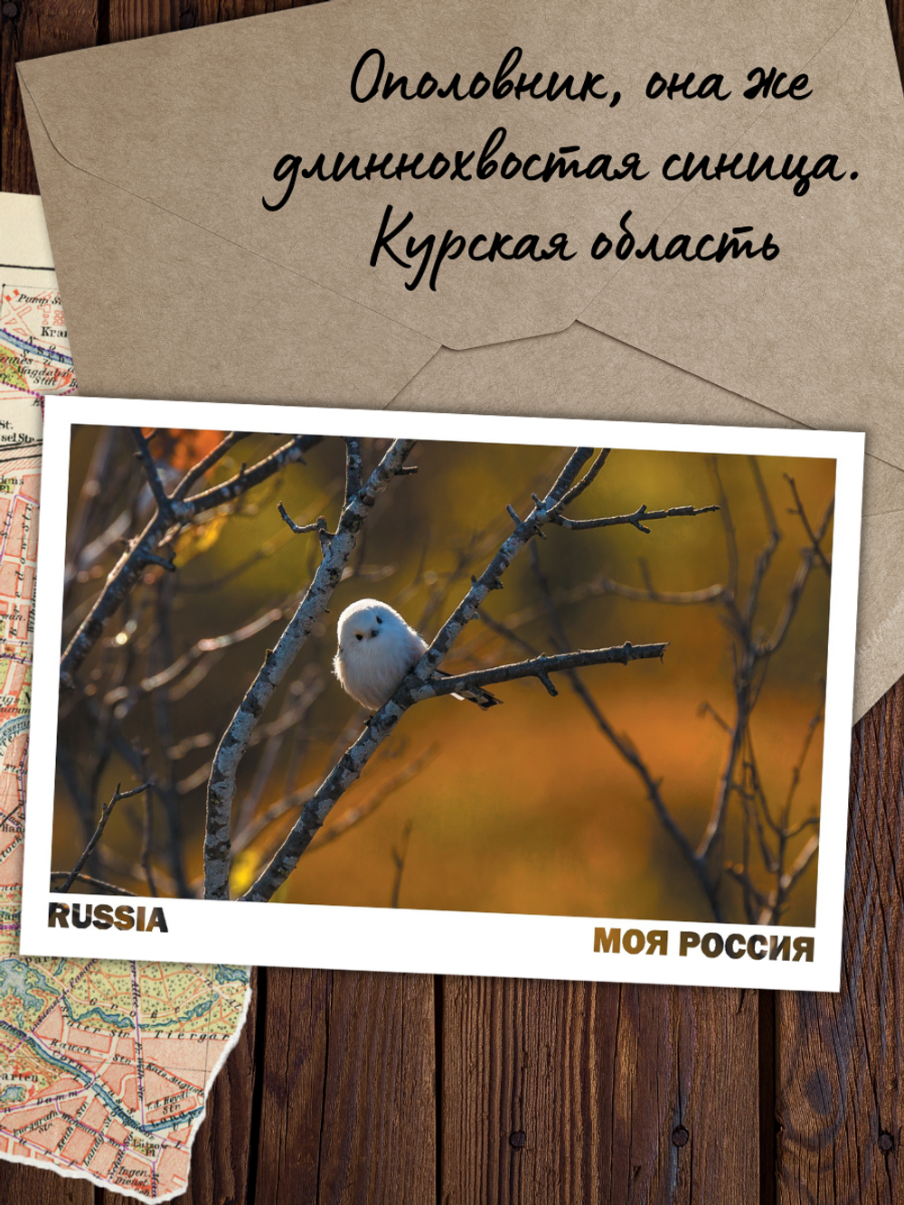 Моя Россия. Осень (выпуск №3, 2023)