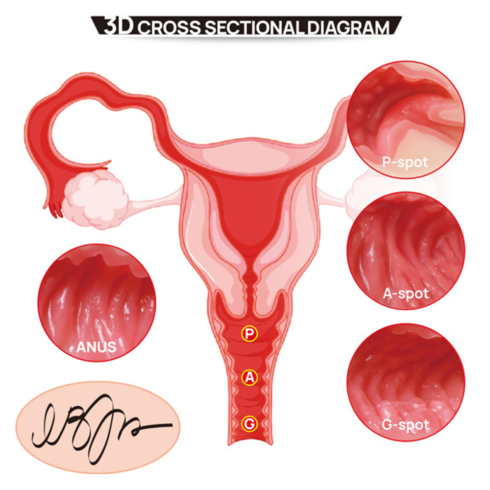 Мастурбатор-полуторс с двойным слоем материала Kokos Vanilla Onahole Real Vagina M01-003-13DH