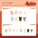 Плюши ANITEEZ IN TREASURE