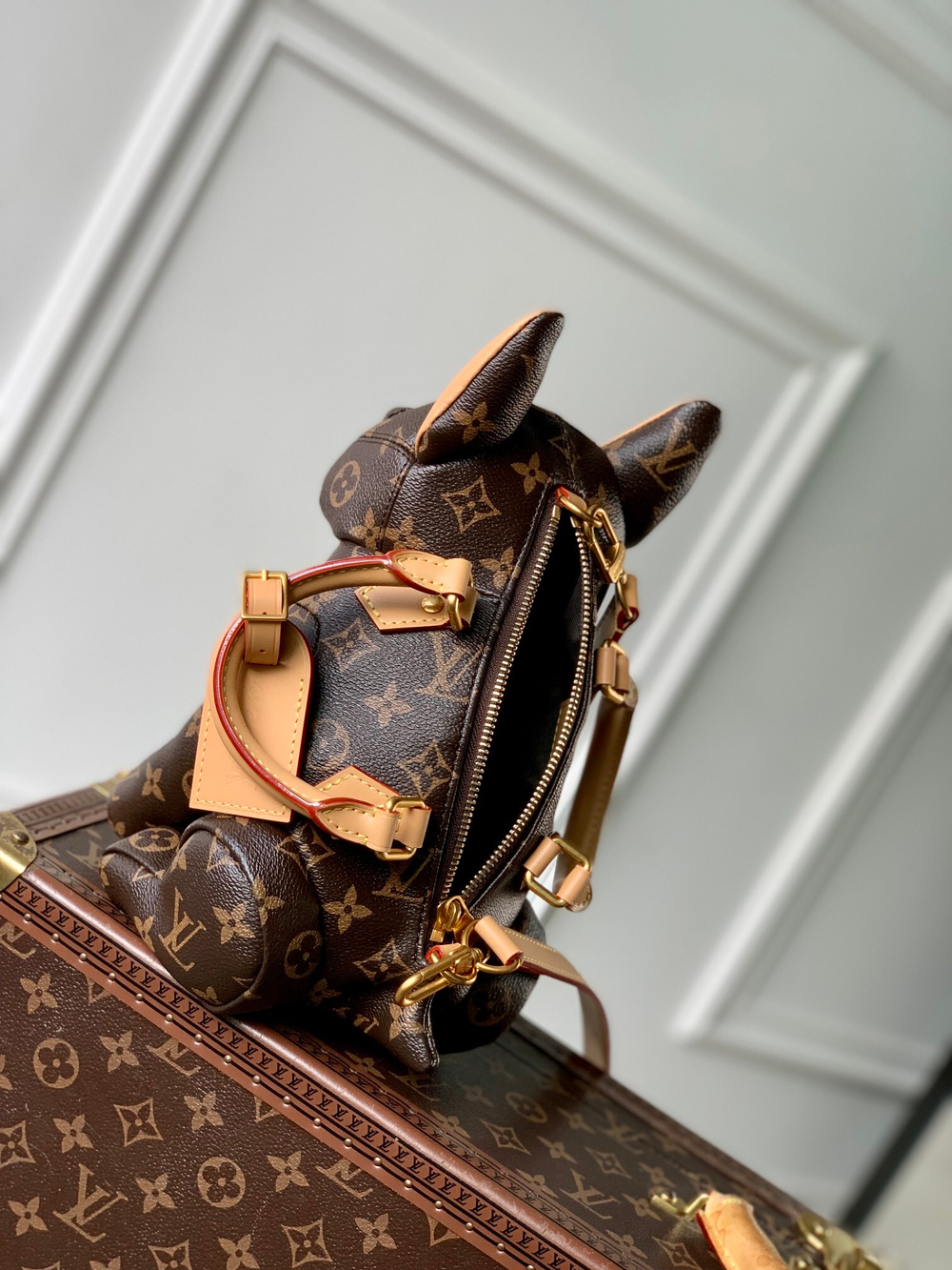 Louis Vuitton Pooch Bag
