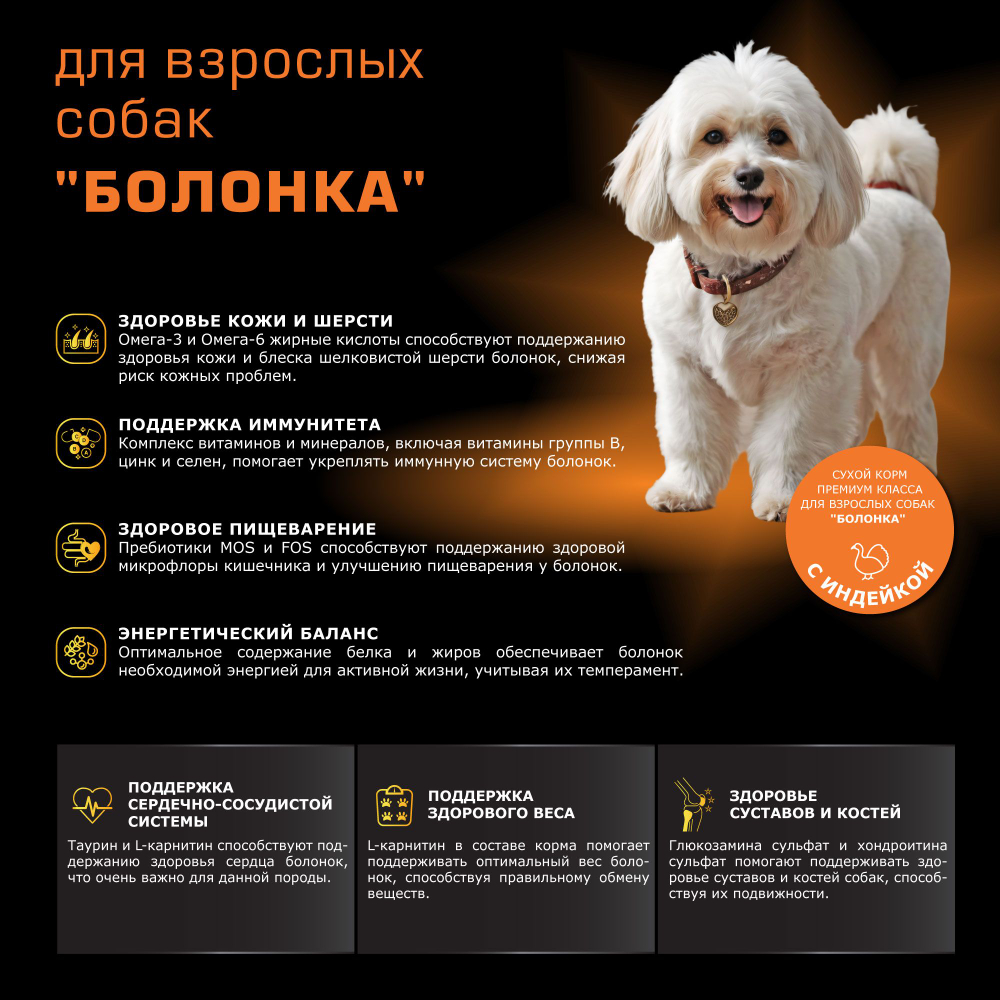 Корм сухой для взрослых собак породы Болонка, с индейкой, 2,5 кг, QUATTRO