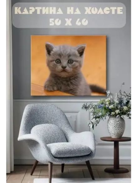 Картина на стену 40 X 50 Котенок