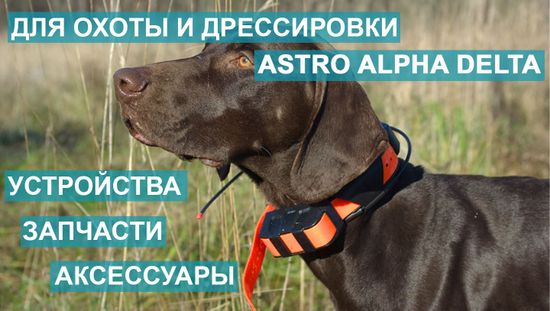 Баннер на главной 2