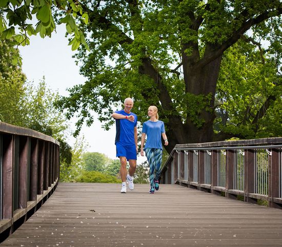 Пульсометр Sigma iD.Go 24520 зеленые, 3 функции