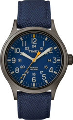 Мужские наручные часы Timex TW2R46200