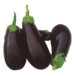 Классик F1 семена баклажана (Clause / Клос)