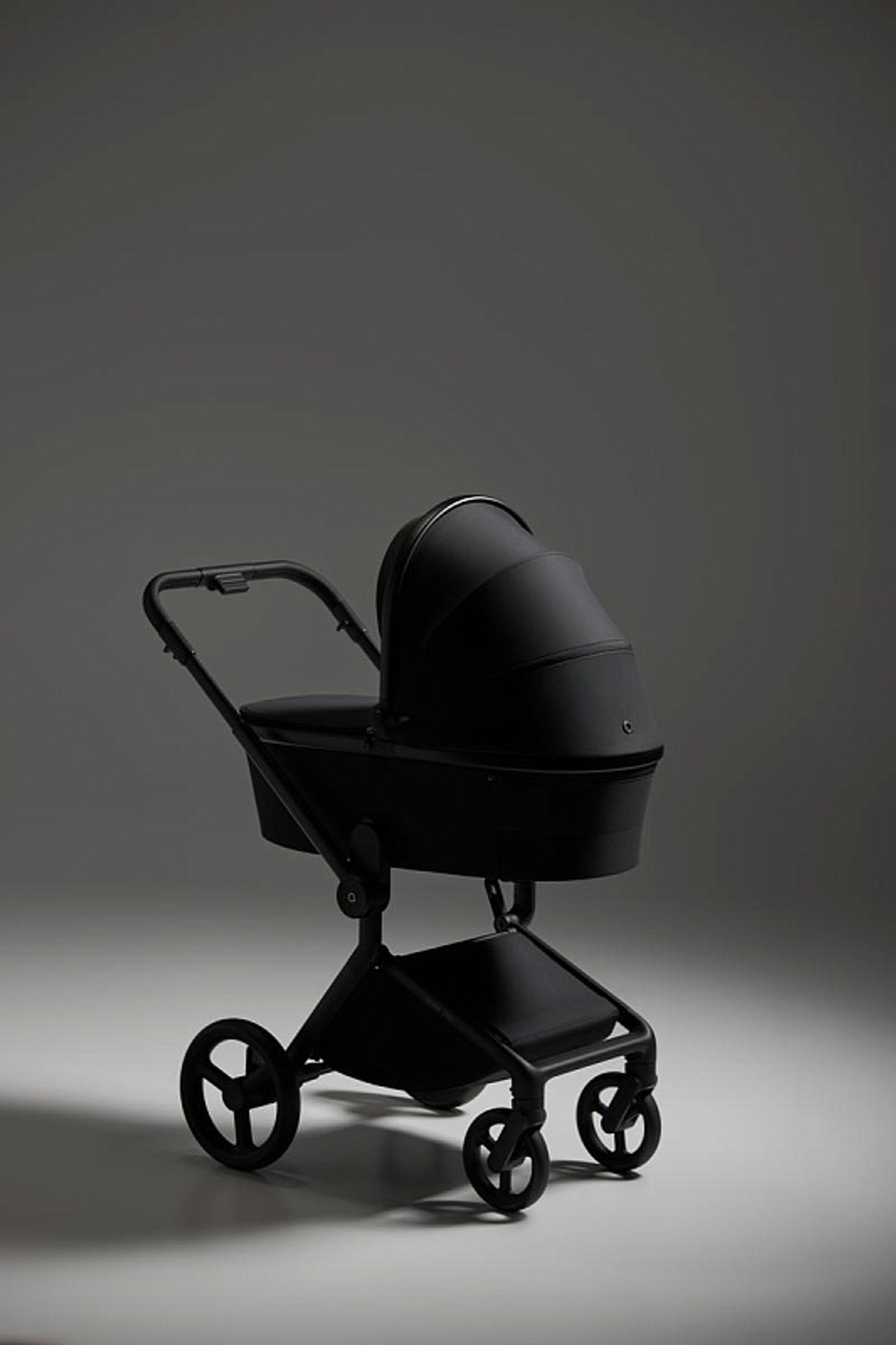 Детская коляска Anex Flo 2 в 1 Lungo