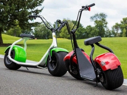 Электросамокат El-sport Citycoco 1500W 60V, 20Ah