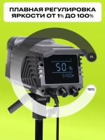 Осветитель светодиодный Raylab RL-100LED 2700-6500K с пультом