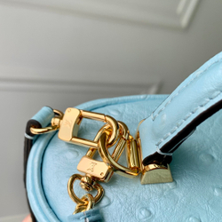 Louis Vuitton Vanity Chain Pouch