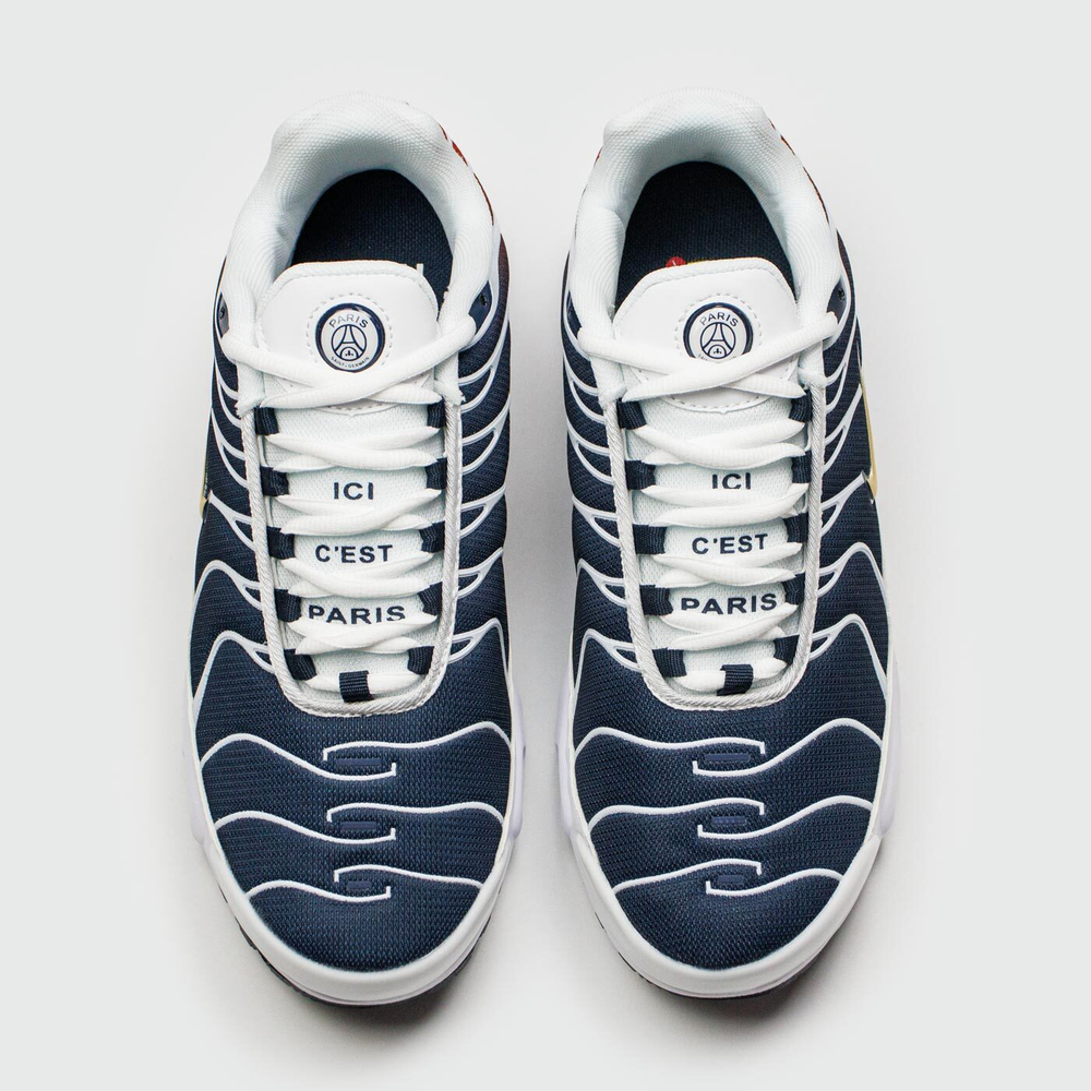 Кроссовки Nike Air Max Plus Tn Blue Grey
