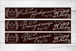 Именная лента выпускника №11