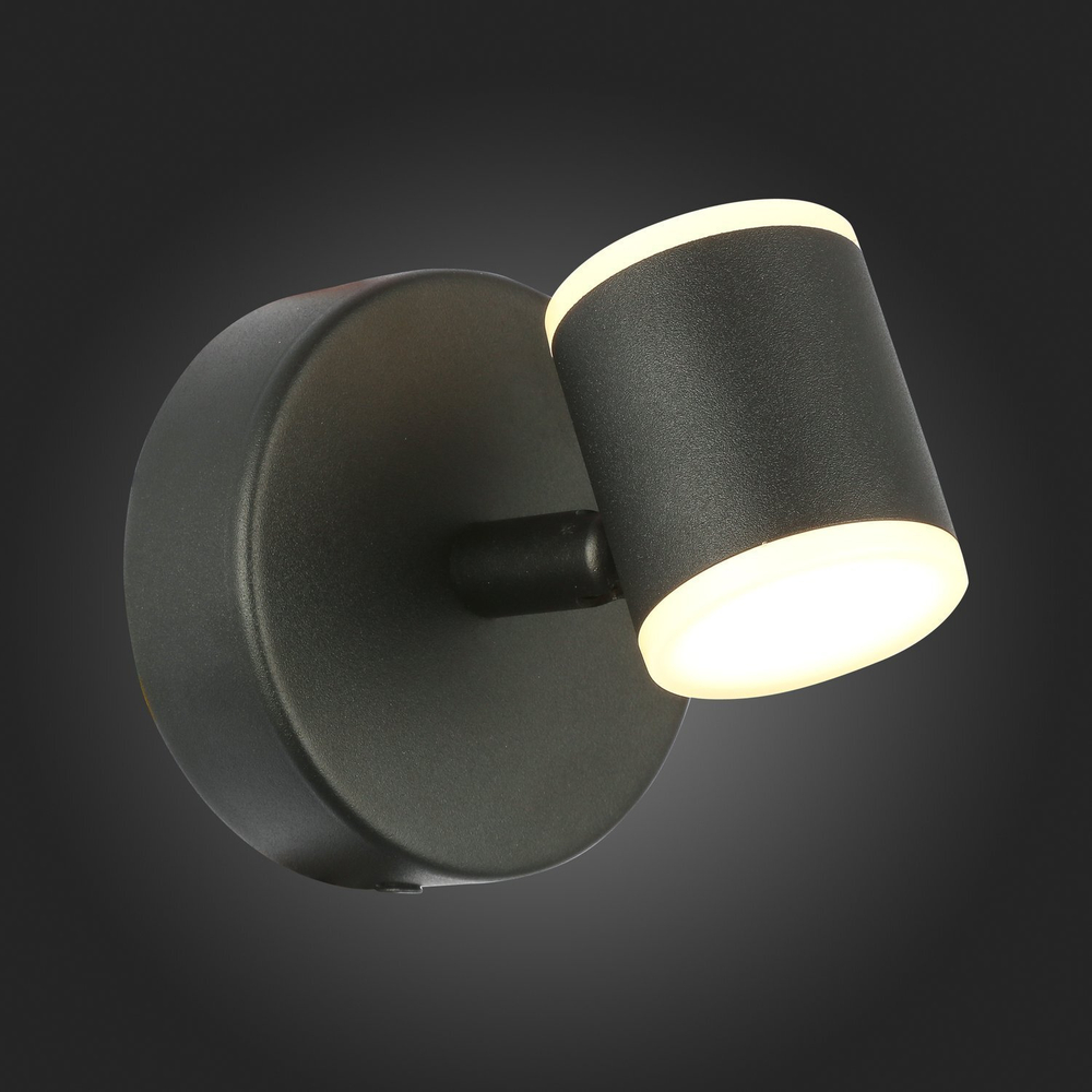 Светильник настенный ST Luce Formolla SL1597.401.01