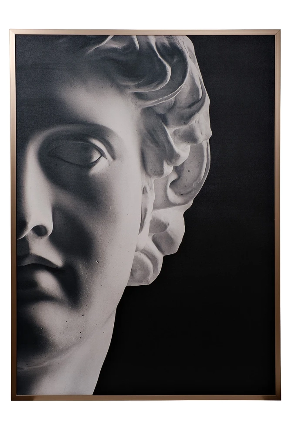 Картина Garda Decor 89VOR-APPOLON/1