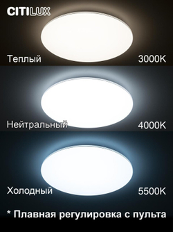 Накладной светильник Citilux CL714900G