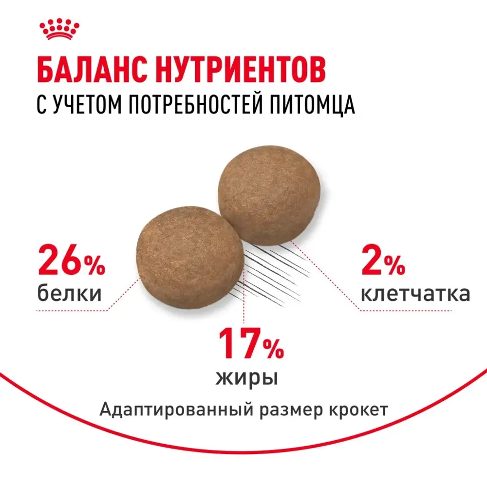 Royal canin maxi adult сухой корм для взрослых собак крупных пород - 3 кг