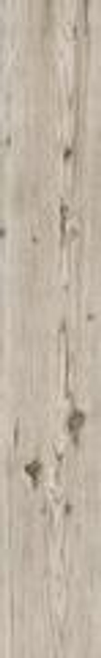 Rondine Living Tortora 15x100