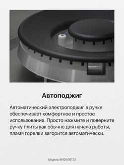 Газовая панель Hansa BHGI650103