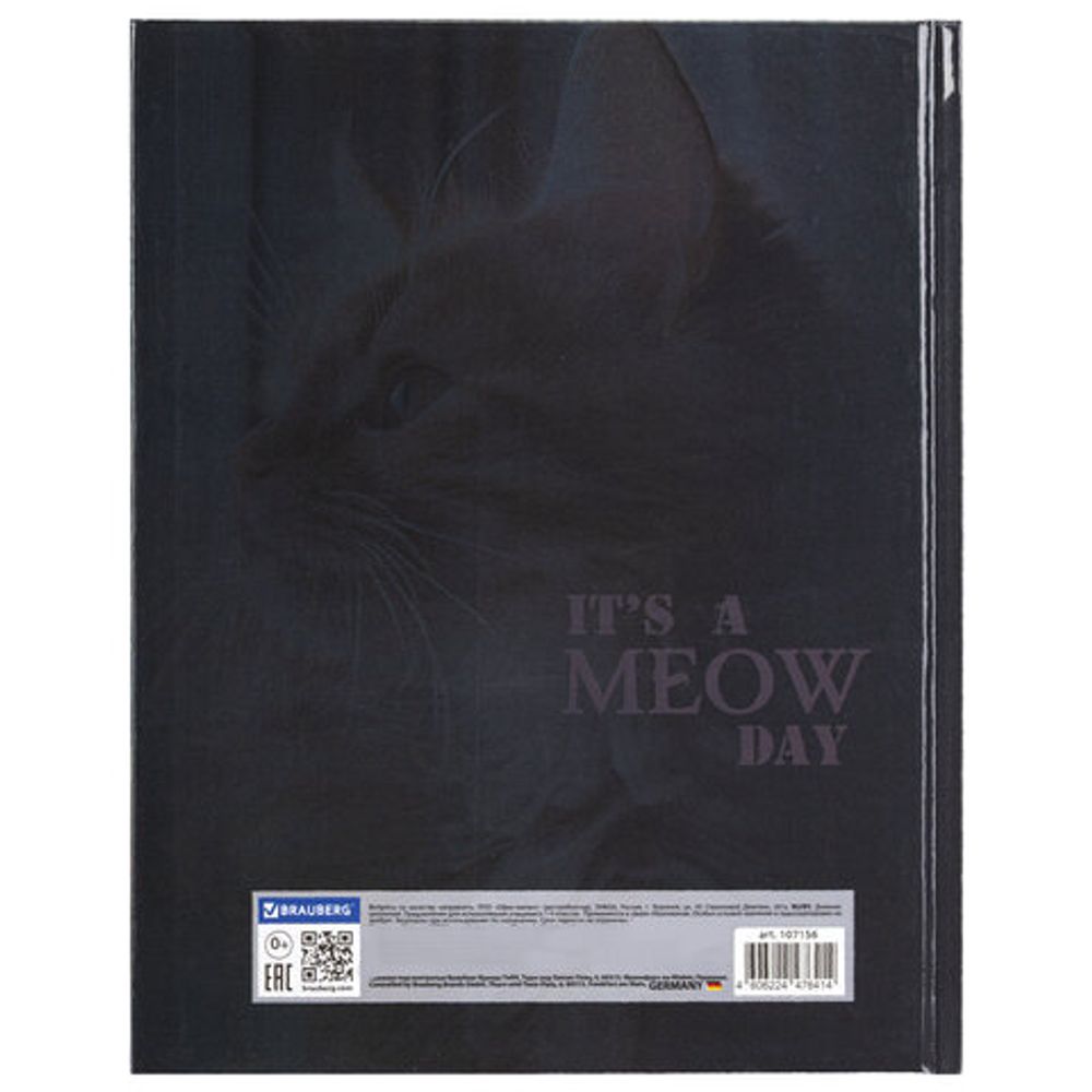 Дневник 1-4 класс 48 л., твердый, BRAUBERG, глянцевая ламинация, с подсказом, "Котик", 107156