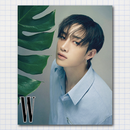 Мини-постер #154 / STRAY KIDS / Бан Чан