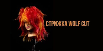 Wolf Cut: как сделать дерзкую и стильную стрижку