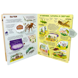 Энциклопедия с окошками (ЦК) Моя первая книга о насекомых