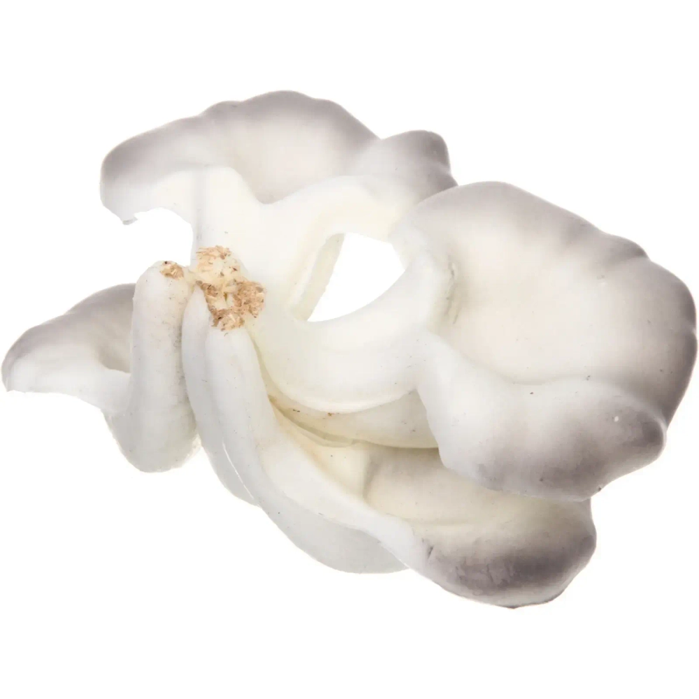 Фигура садовая «Вешенки» 10*14 см, серый