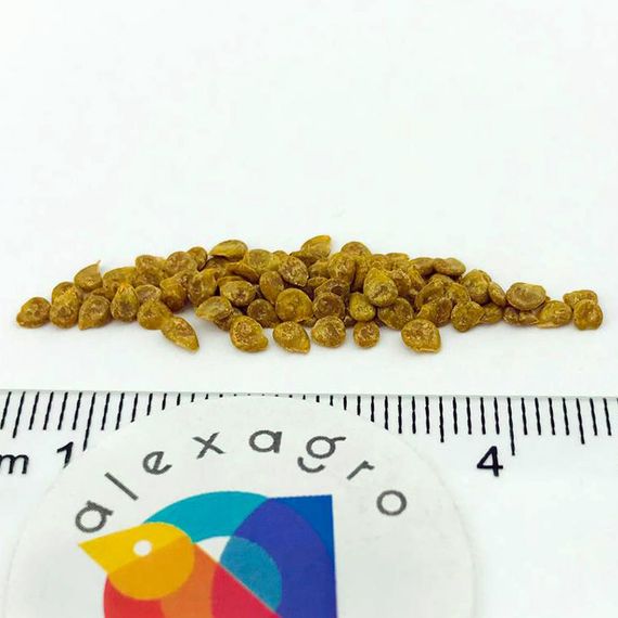 ПОЗЗАНО F1 семена томата (Enza Zaden | Alexagro) цена