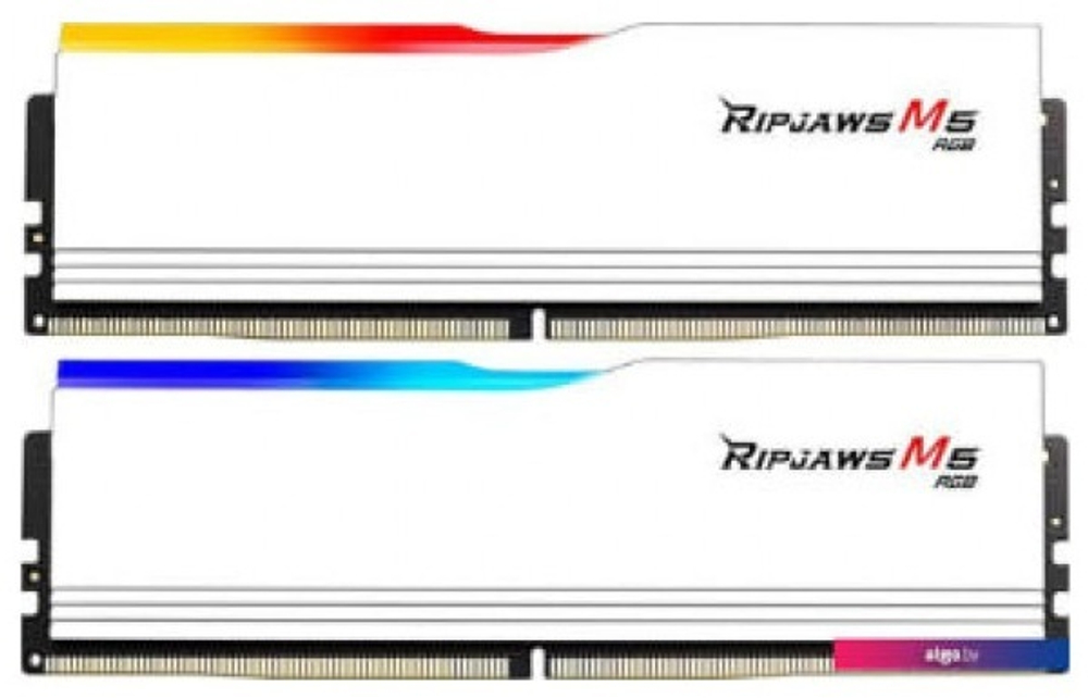 Оперативная память G.SKILL F5-5200J4040A24GX2-RM5RW 48 Гб