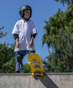 Скейтборд Birdie 28"X8"