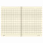 Тетради 40 л. в клетку обложка SoftTouch, НАБОР 3 шт., бежевая бумага 70 г/м2, сшивка, А5 (147х210 мм), SUMMER, BRAUBERG, 403793