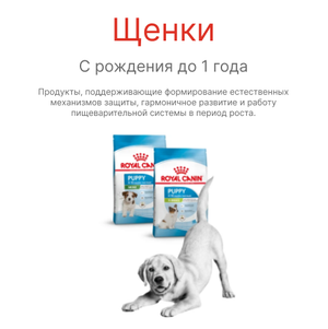 Щенки