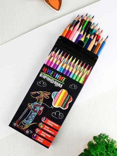 Набор цветных карандашей деревянных, ТАКСА НА САМОКАТЕ, 24 цв.