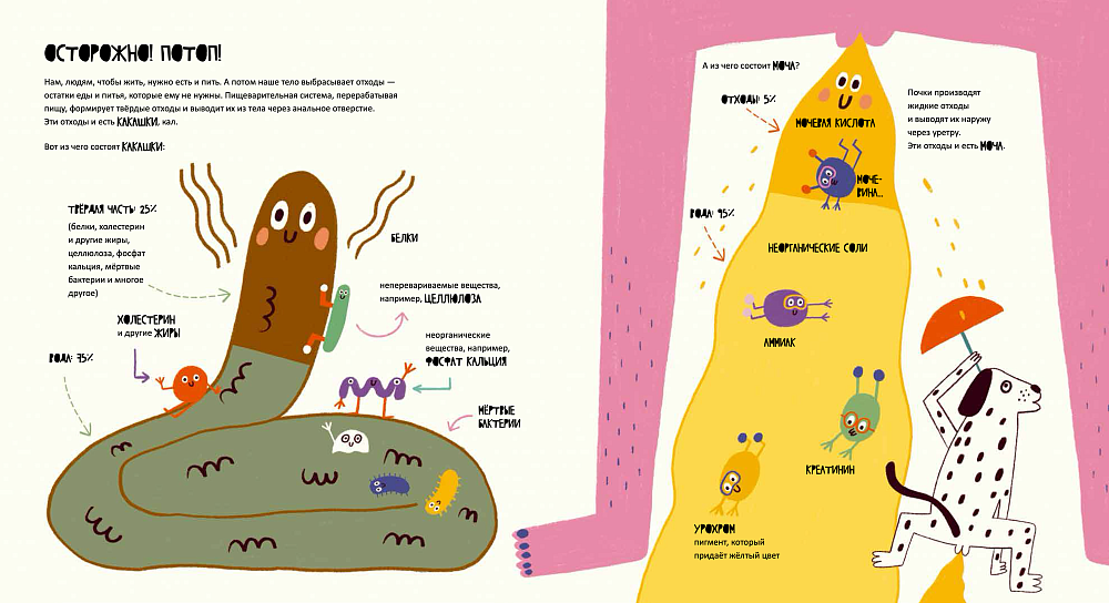 Тайная жизнь мочи и какашек