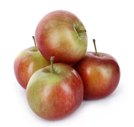 Яблоки Фридон Остромечево Беларусь