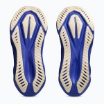 Кроссовки для бега ASICS Novablast 5 black/cobalt burst