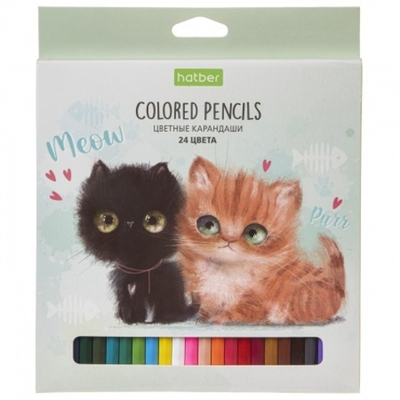 Карандаши цветные "ECO" 24 цв. -Кошарики- заточен.  в карт. короб. с европодвесом