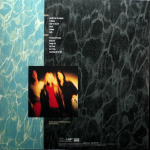 Nirvana / Nevermind (30th Anniversary Deluxe Edition)(LP+7" Vinyl Single)